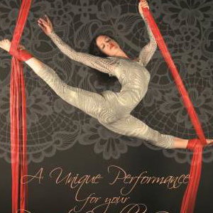 Aerial Silks- Weddings