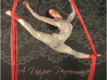 Aerial Silks- Weddings