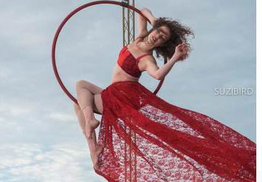 Aerial Hoop
