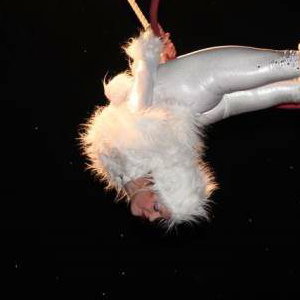 Aerial Hoop- Christmas