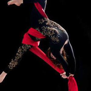 Circus & Aerial Silks