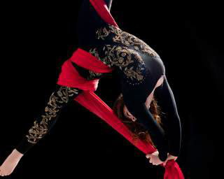 Circus & Aerial Silks