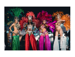 Showstoppers Entertainment Ltd logo
