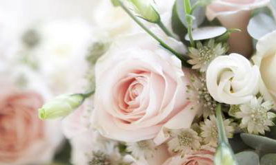 Liberty Blooms