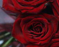 Red rose bouquet
