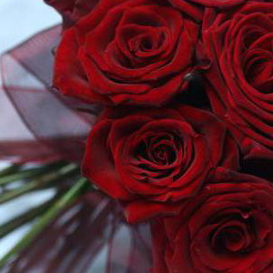 Red rose bouquet