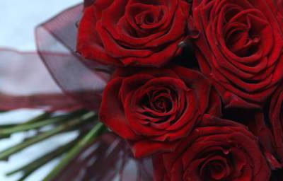Red rose bouquet