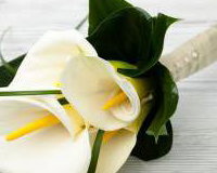 Calla lily bouquet