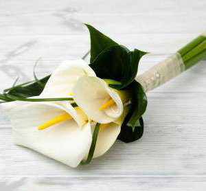 Calla lily bouquet