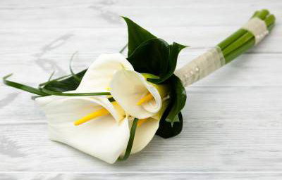 Calla lily bouquet