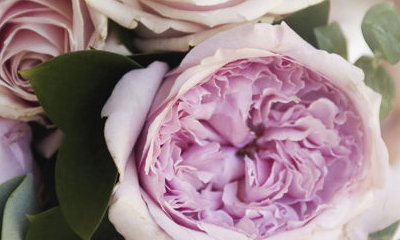 The English Florist