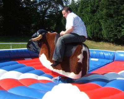 RODEO BULL