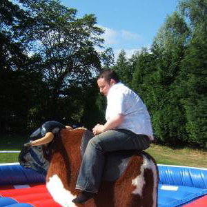 RODEO BULL