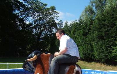 RODEO BULL