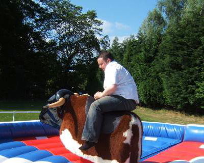 RODEO BULL