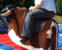 RODEO BULL
