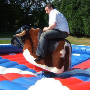 RODEO BULL