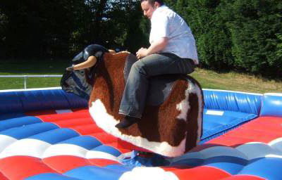 RODEO BULL