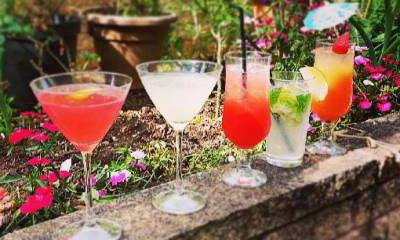 Dionysus Bars