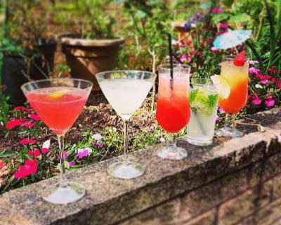 Cocktails