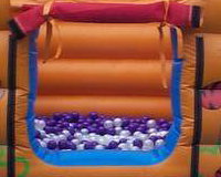 Disney Castle or Ball Pool