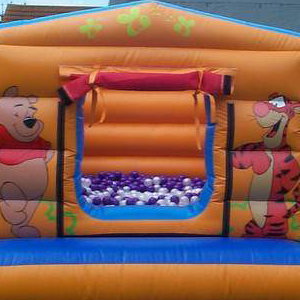 Disney Castle or Ball Pool
