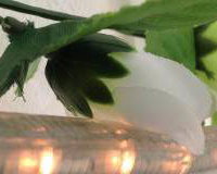 Decorations