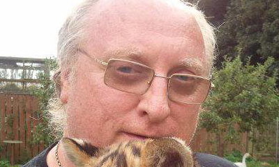 Animalswork