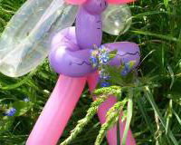 Balloon Modelling