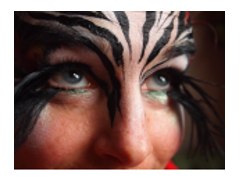 Face Art logo