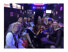 Bliss Limo and Party Bus Hire logo