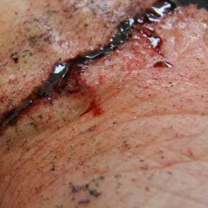 Gory Make Up
