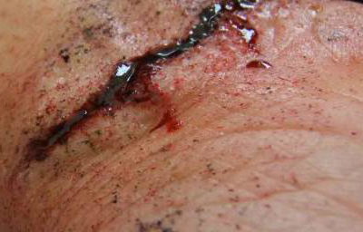 Gory Make Up