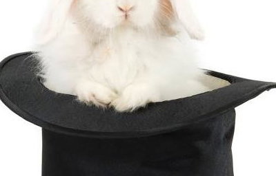 Live White Rabbit