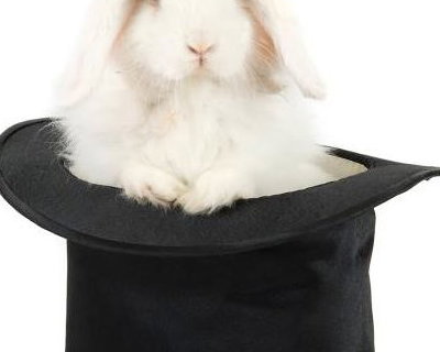 Live White Rabbit