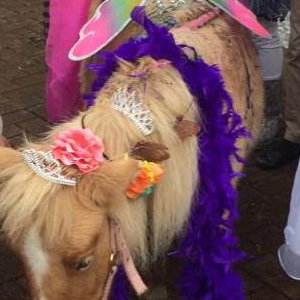 Pony Party
