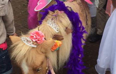 Pony Party