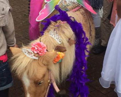 Pony Party