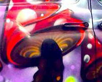 Enchanted Forest Taxi Photo Booth 