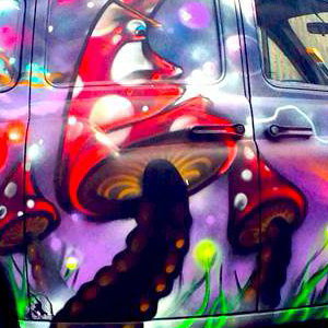 Enchanted Forest Taxi Photo Booth 