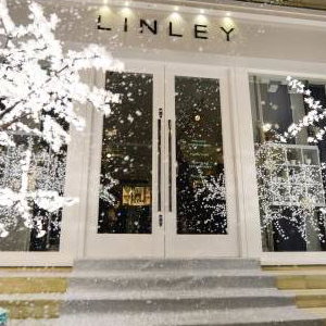3m Grande in the Snow at the LINLEY Christmas Party