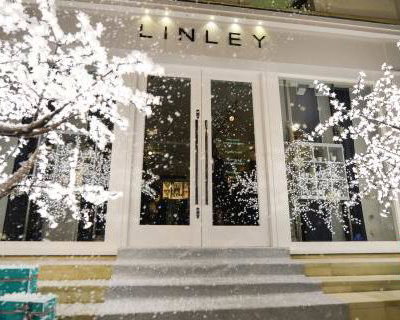 3m Grande in the Snow at the LINLEY Christmas Party