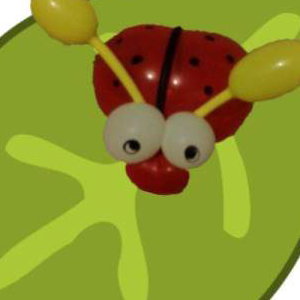 Ladybugs