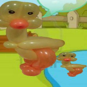 Ducks