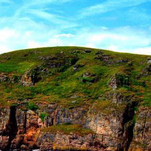 Brean 