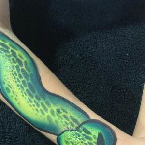 Arm Designs