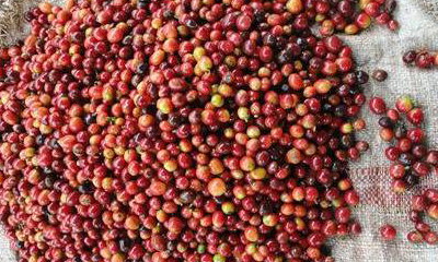 Mariners Coffee Merchants