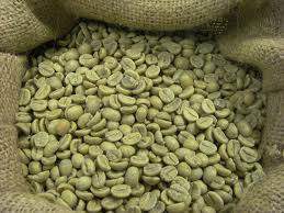 ... to Extract the Green Coffee Beans.