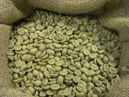 ... to Extract the Green Coffee Beans.