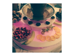 Choc Fon Doo logo